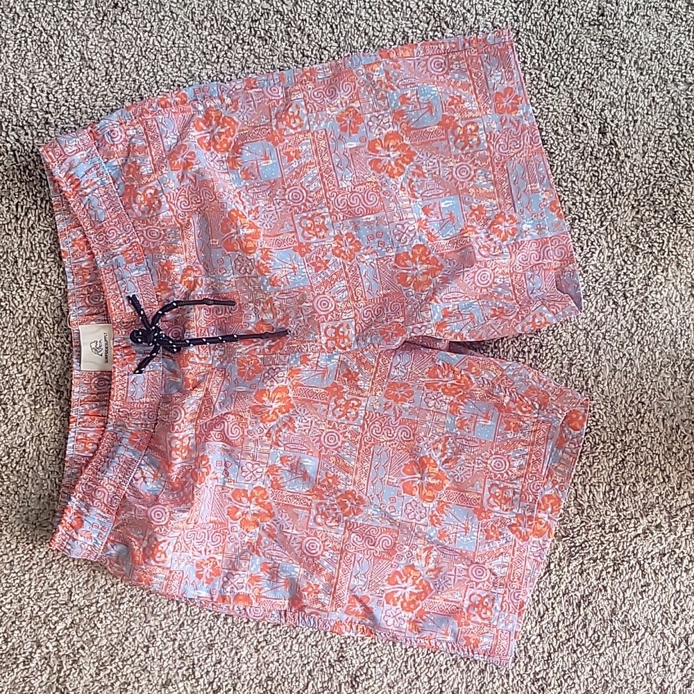 Surfside Supply swim trunks